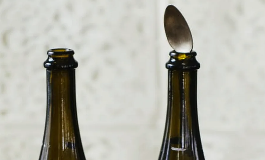 Впервые узнал, зачем вставляют ложку в бутылку шампанского на самом деле. Теперь делаю также