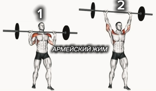 Источник изображения: яндекс картинки.