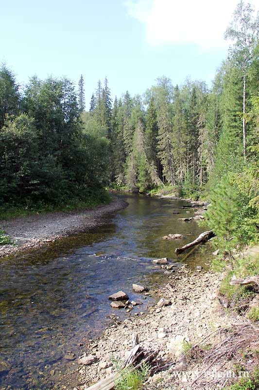 р. Лозьва // fb.ru