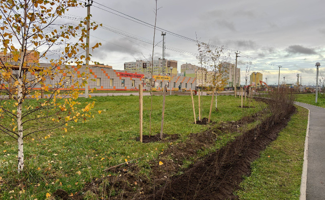    © Заневское городское поселение