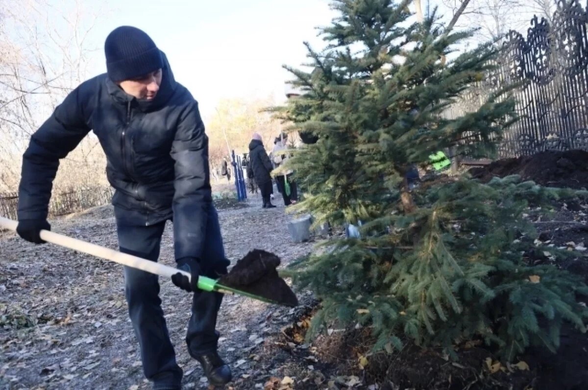    Тюменцы собрали более 60 кубометров мусора на Текутьевском кладбище