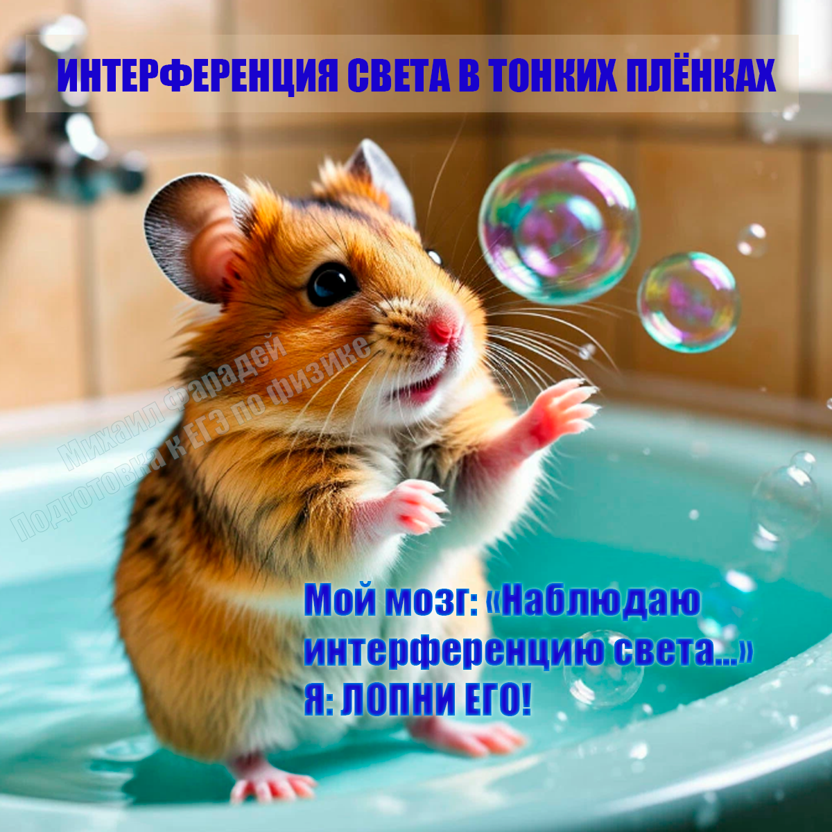 А это просто хомяк, который решил изучать физику вместе с нами