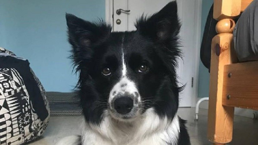    Фото из личного архива