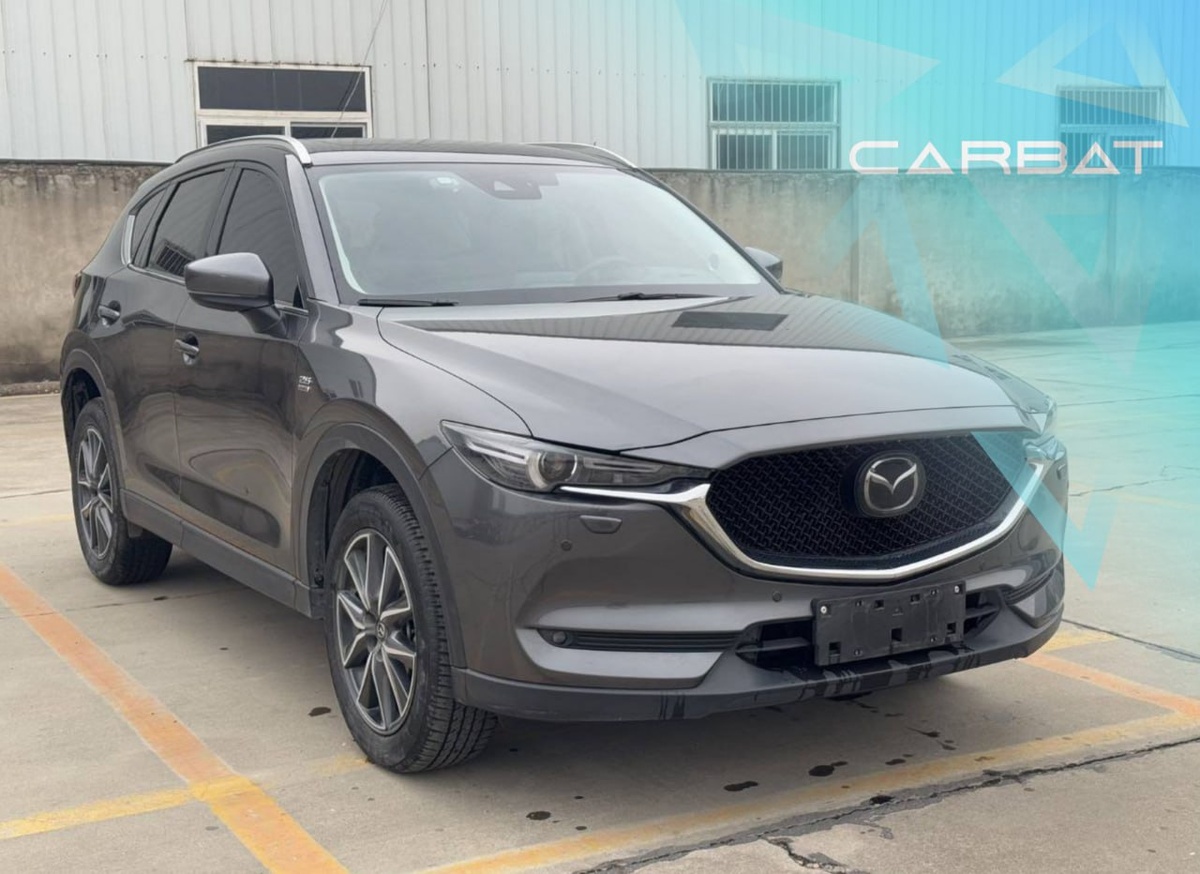 Новые достойные японцы из Китая. 