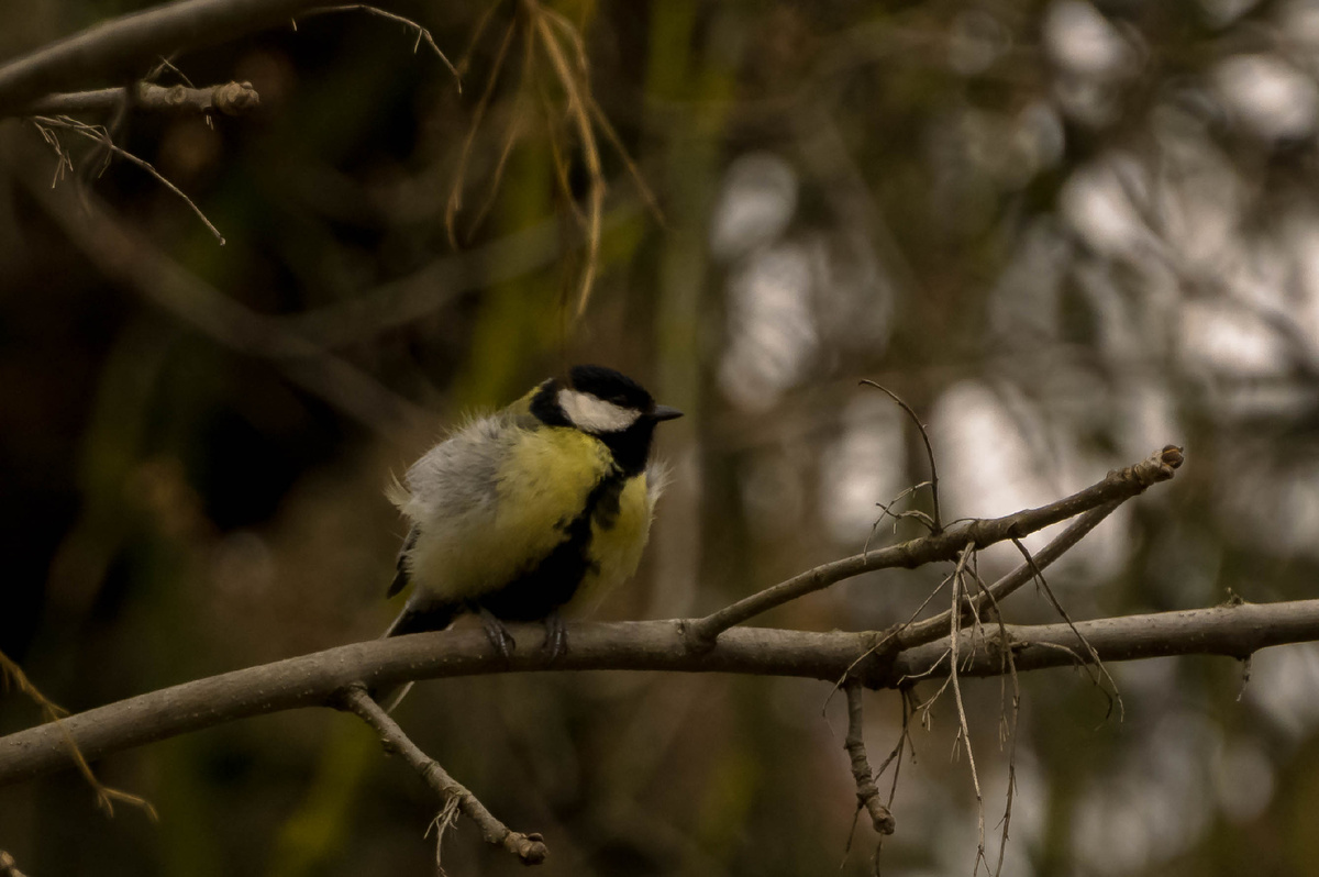 Личное фото автора
