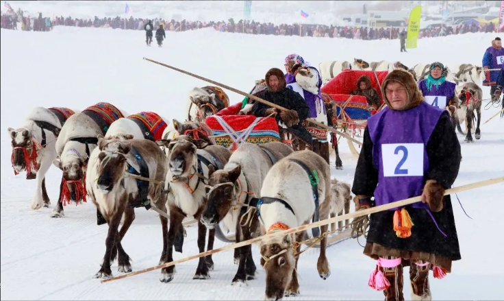 Фото: Скриншот «Ямал-Медиа»
