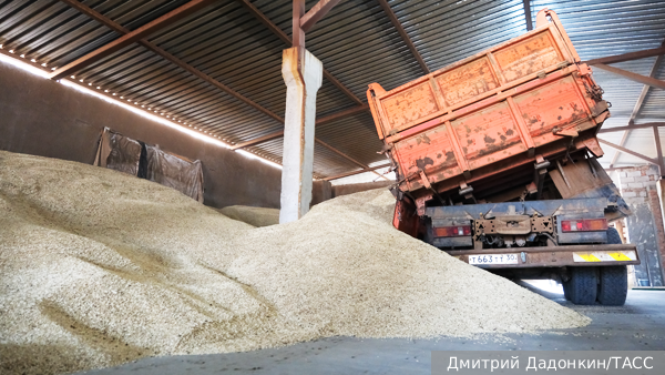     Фото: Дмитрий Дадонкин/ТАСС   
 Текст: Олег Исайченко