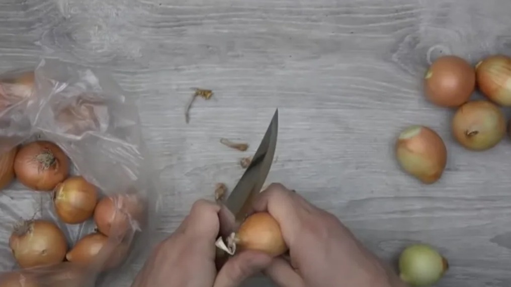 Правильная подготовка - залог успешного выращивания