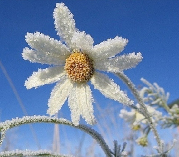 Фото из интернета