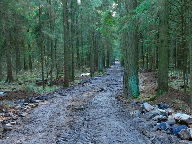     Фото: mo.tsargrad.tv