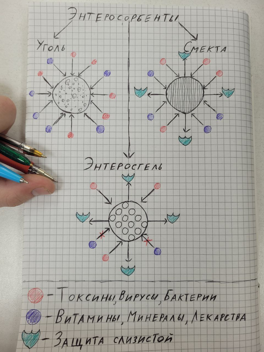 Как наглядно представить эту разницу? Все на схеме, которуя я для вас быстренько набросал. Инфографика прекрасно демонстрирует: уголь забирает в больших количествах и плохое, и хорошее. Смекта работает несколько более избирательно, при этом оказывая и защитный эффект. Энтеросгель же как точечный работник — не делает "все подряд", а выполняет конкретные задачи. Это и есть ключевое эволюционное отличие современных сорбентов.