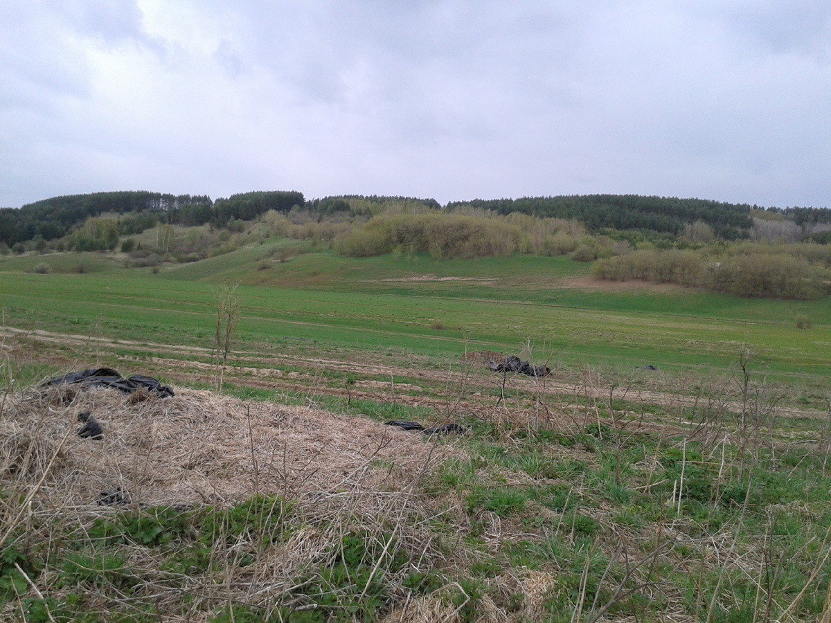 Родные просторы