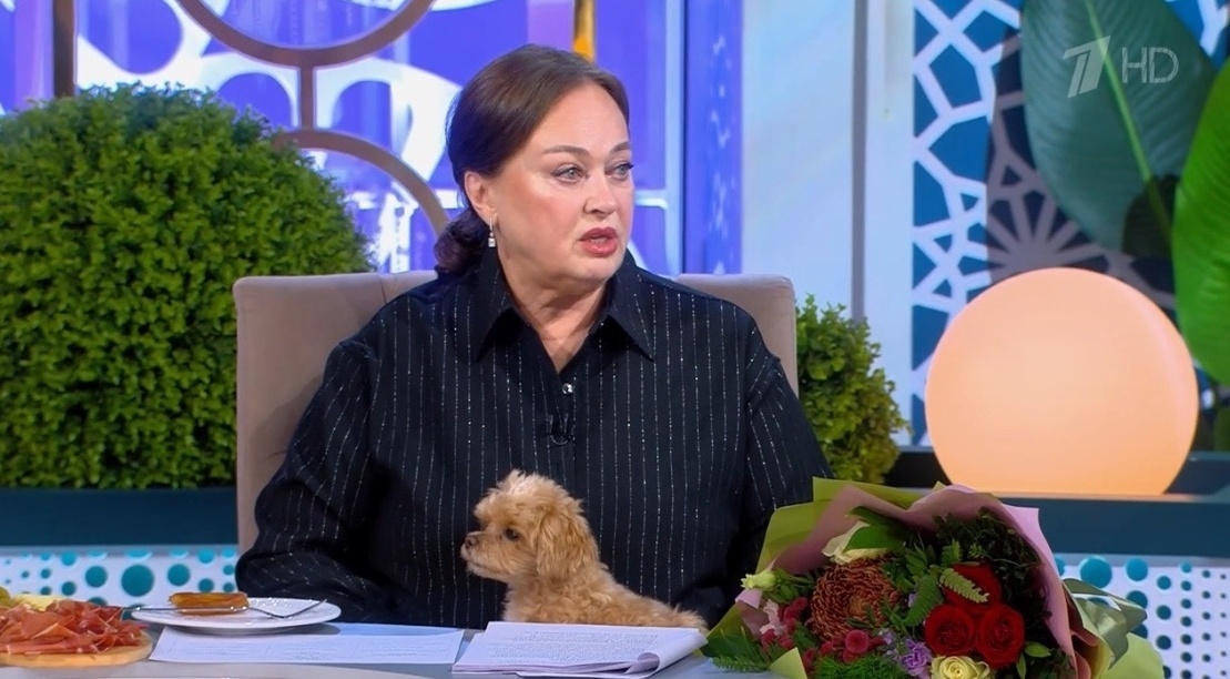 Жалко, что про собачку, которая с Гузеевой ведёт программу, забыли. Фото Яндекс.Картинки.