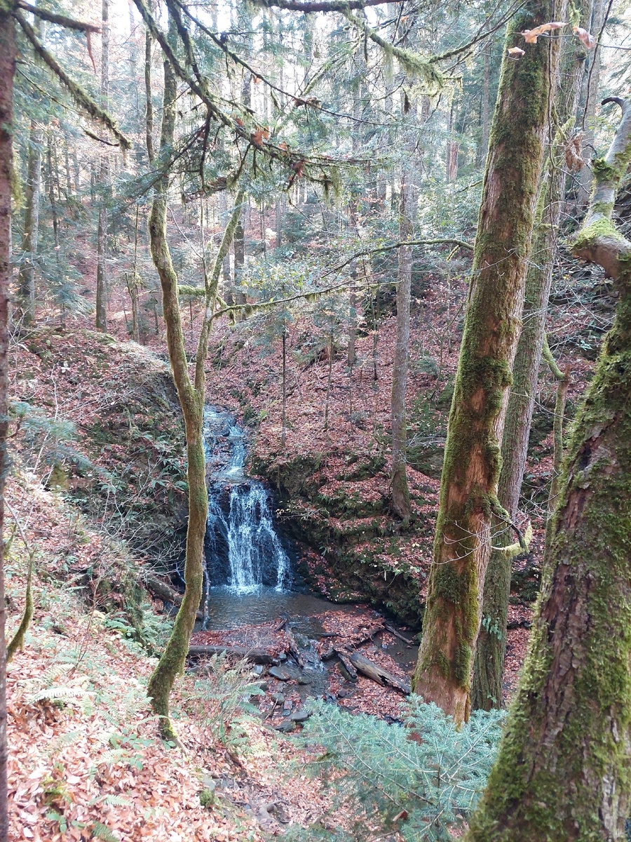 вдопад в конце тропы леопарда