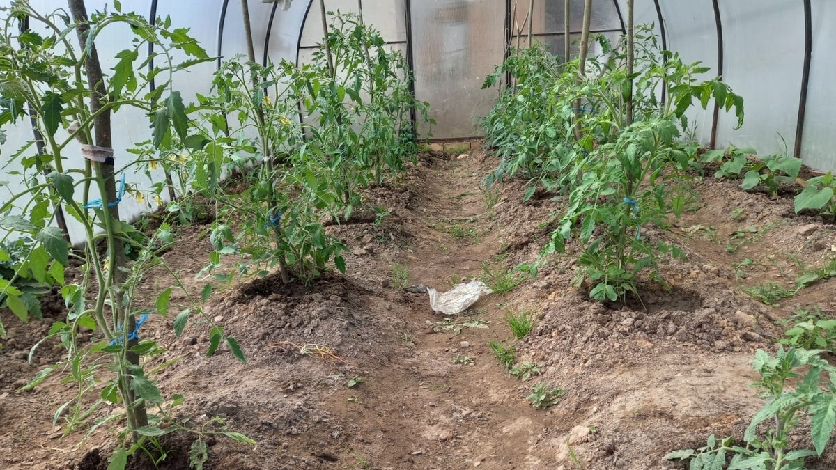 Справедливое сравнение требует одинаковых условий для всех методов