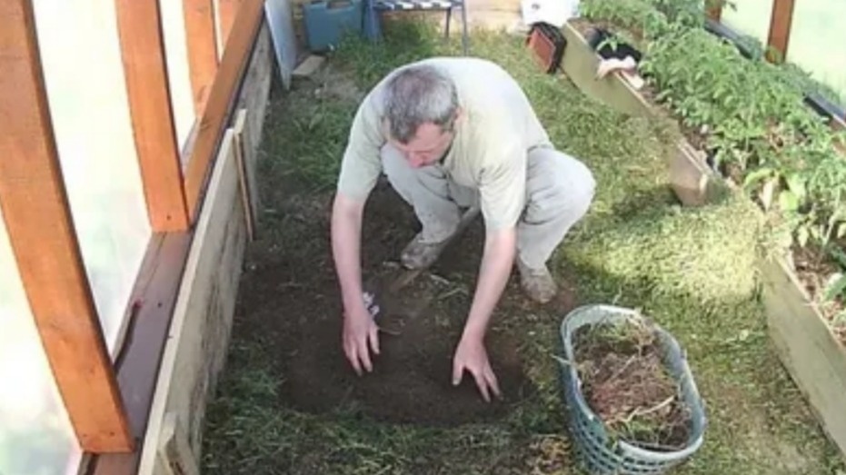 Компостная куча в углу теплицы оказалась самым простым и доступным источником углекислого газа.