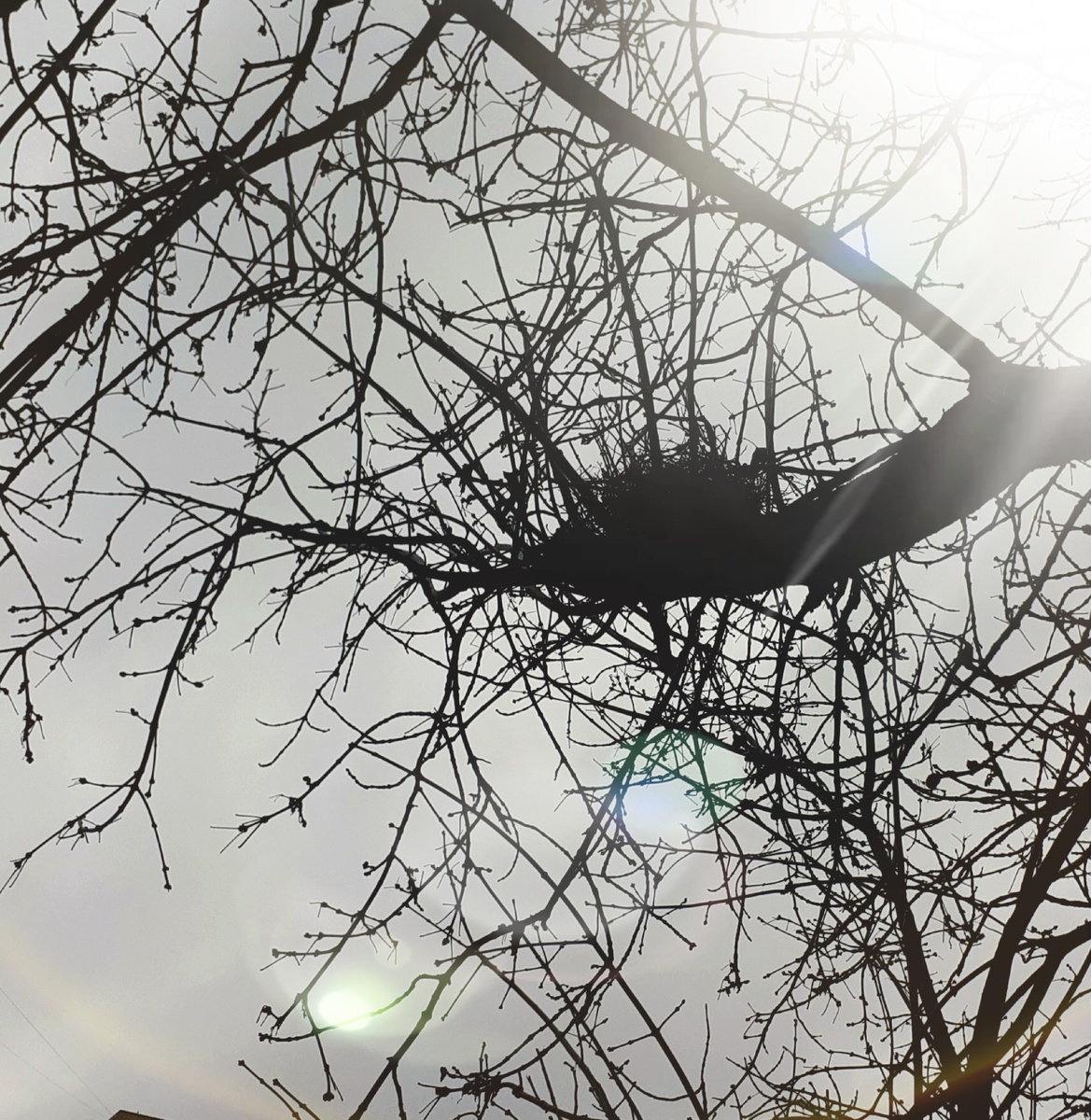 Фото автора 12.11.2025г.