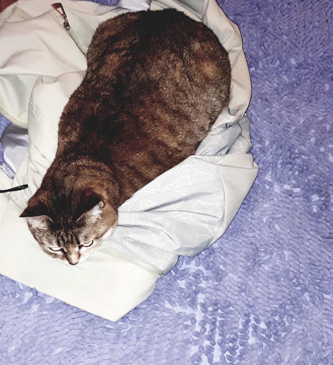 Фото автора 12.11.2025г.