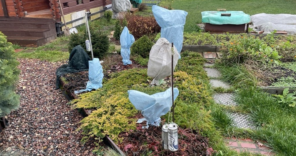 Как легко подготовить сад к зимовке