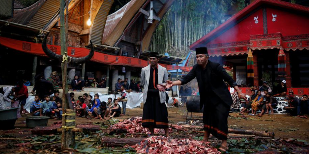 Буйвол как проводник: похоронный ритуал народа Тораджа на Сулавеси.