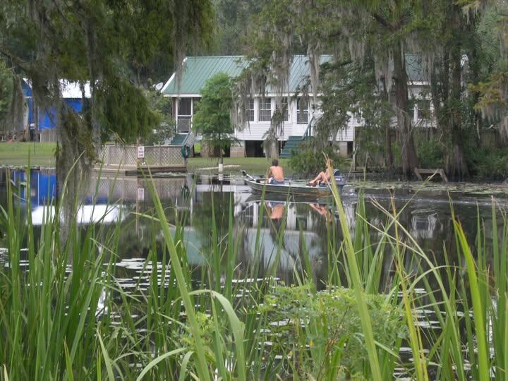 В одном из байю штата Луизиана