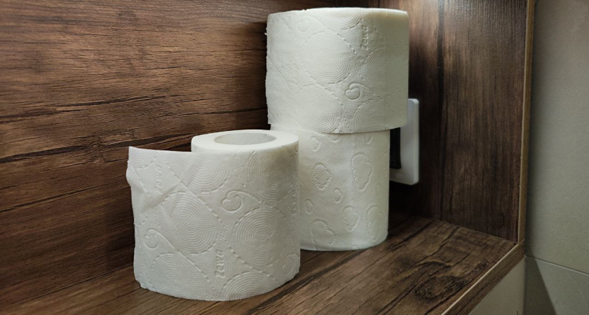    Попрощайтесь с туалетной бумагой — она пережиток прошлого: её замена гораздо эффективнее — в Европе во всю используют, а мы только начинаем