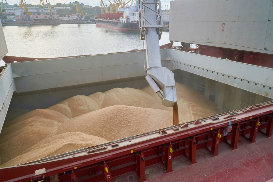    Shutterstock/FOTODOM