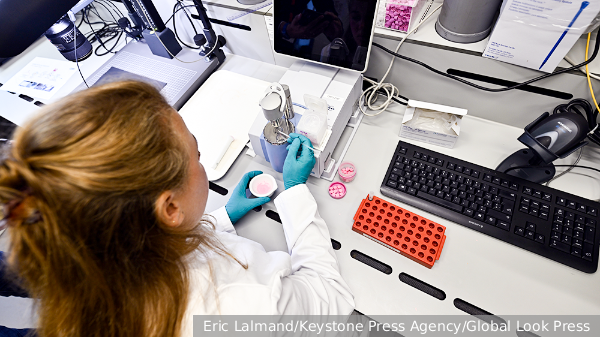     Фото: Eric Lalmand/Keystone Press Agency/Global Look Press   
 Текст: Ольга Иванова