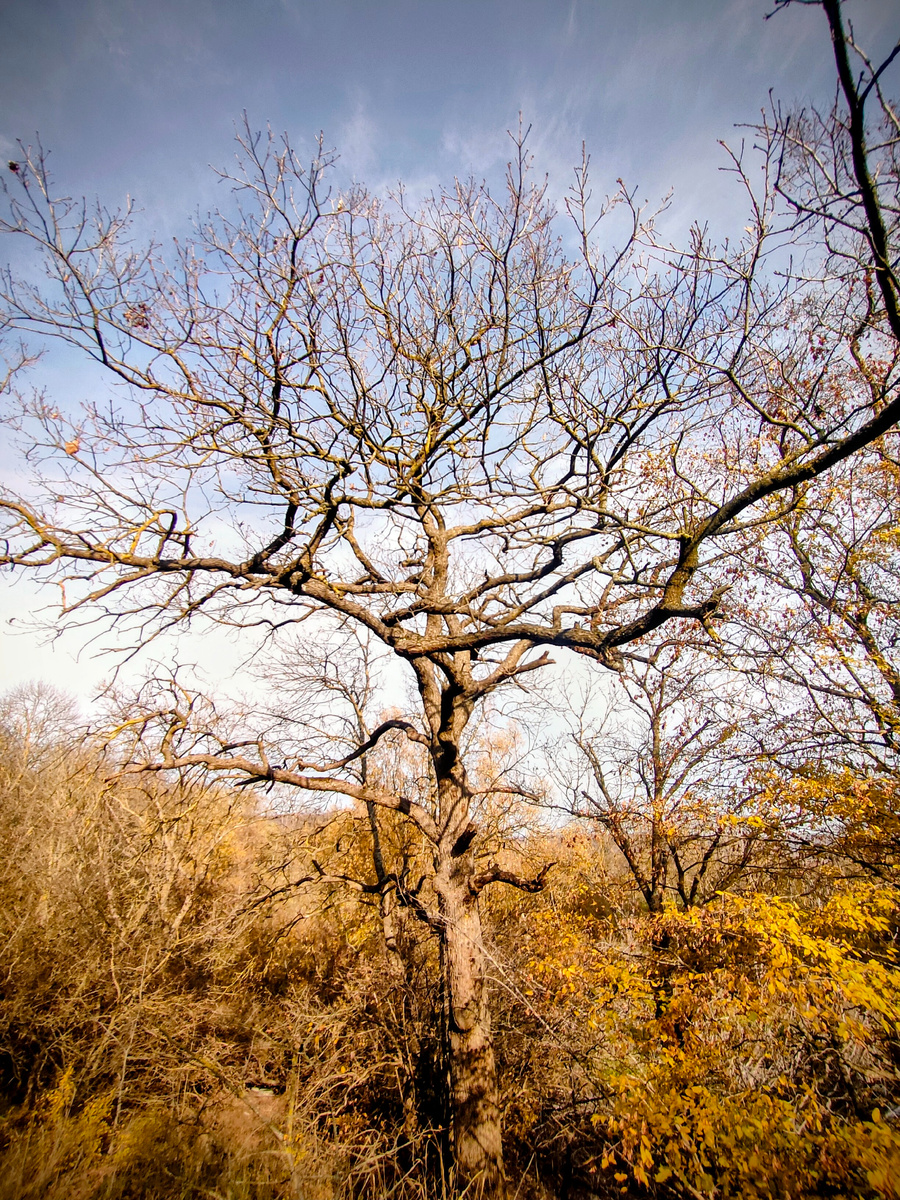 Настоящая осень 