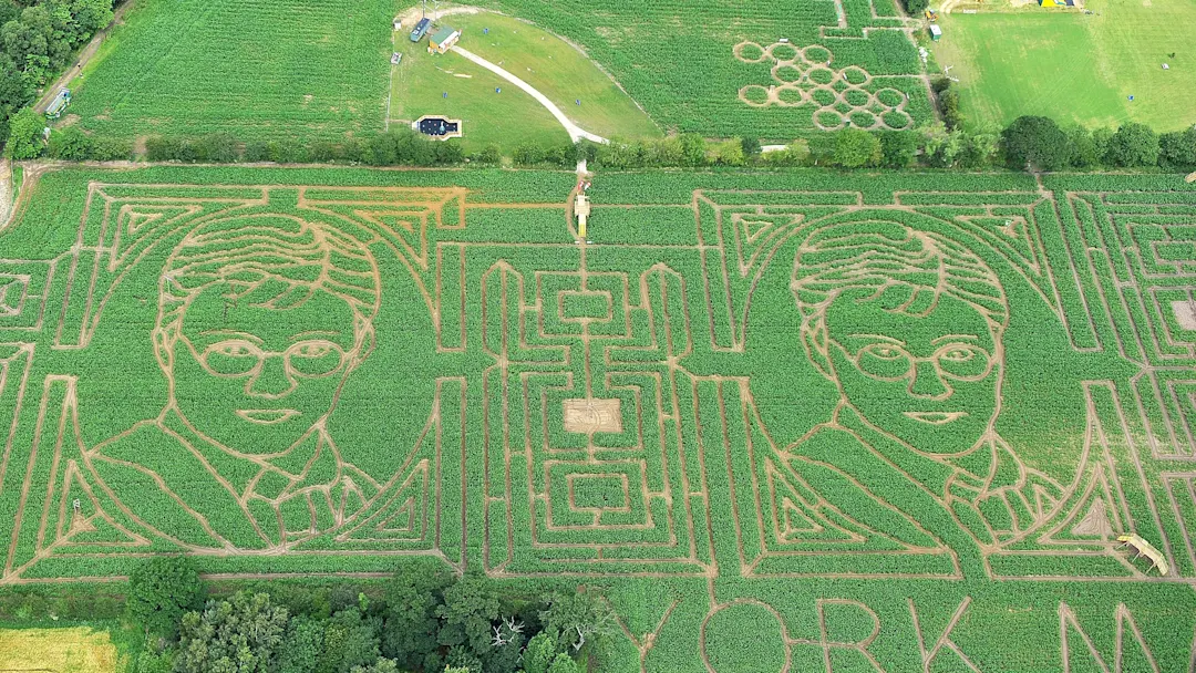 Гарри Поттер и кукурузный лабиринт тайн.