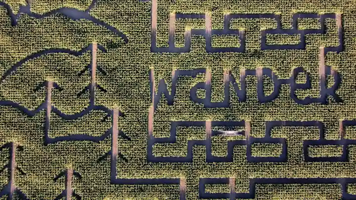 Здесь можно провести пару часов