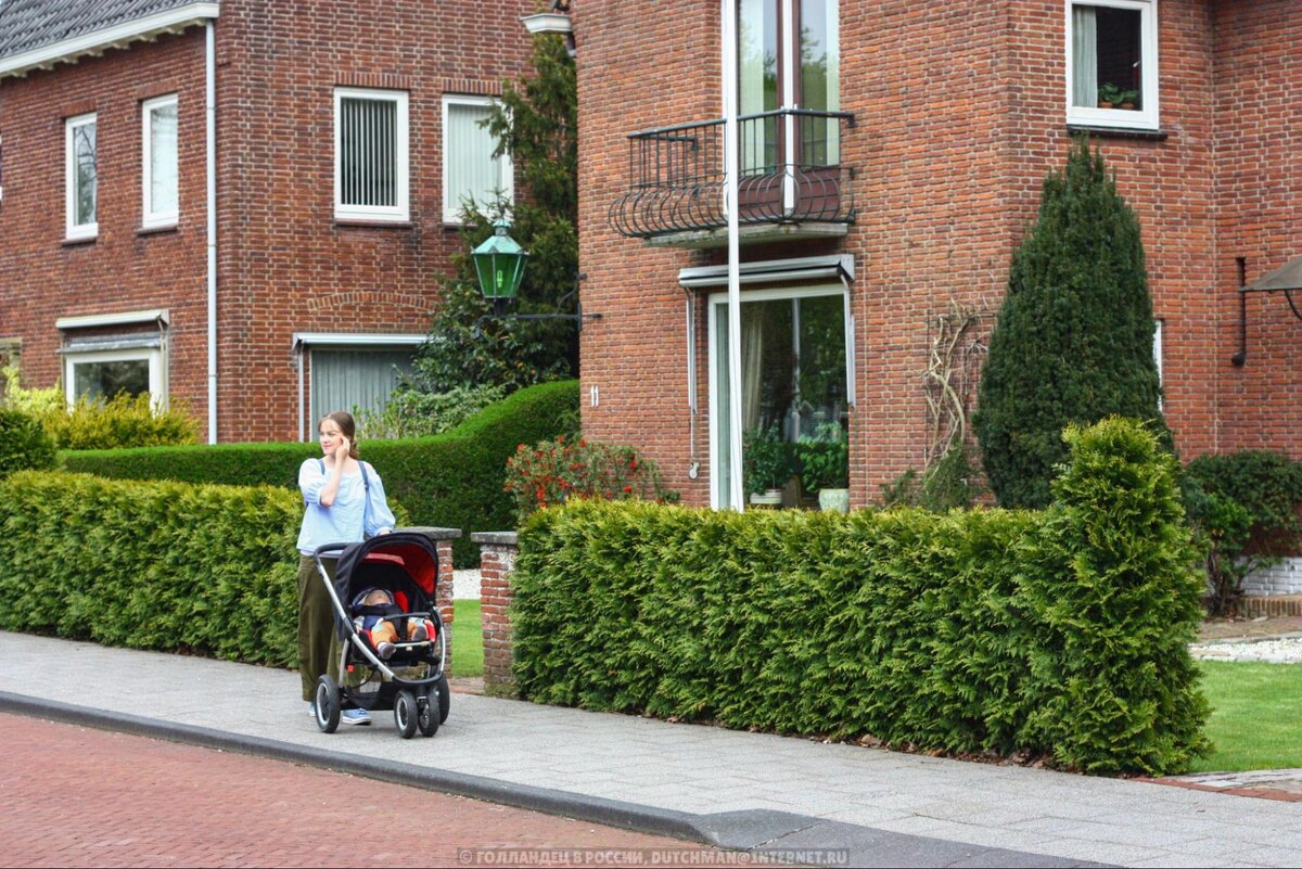 Фото: Голландец в России