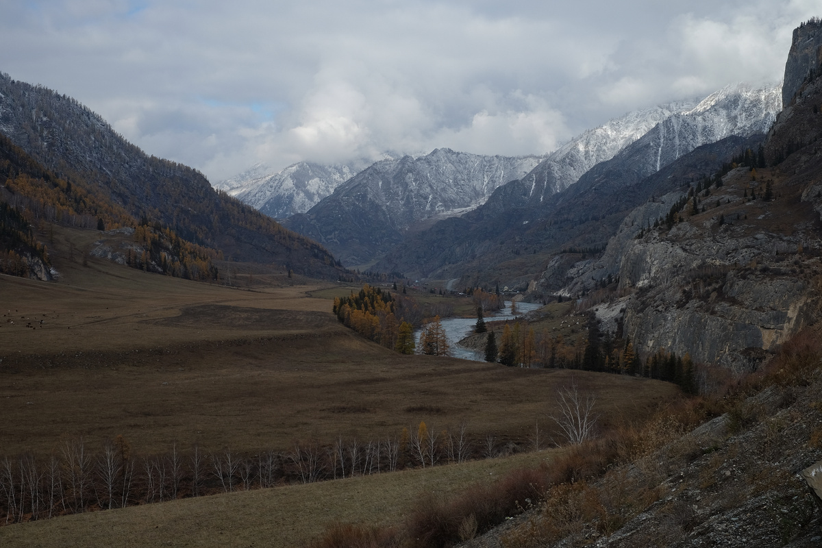 Октябрь 2025 г