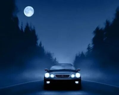 Заблудилась!