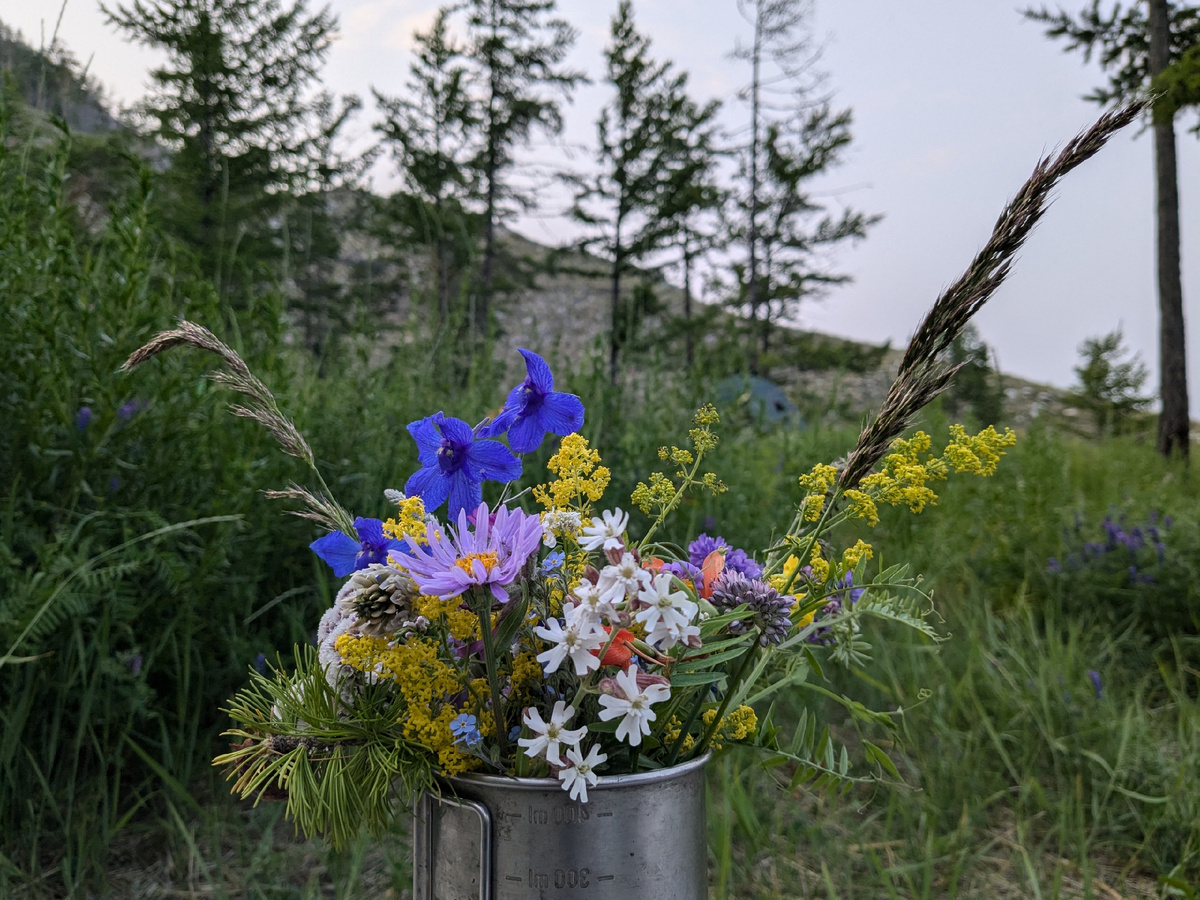 Автор фото: Евгений Чернов