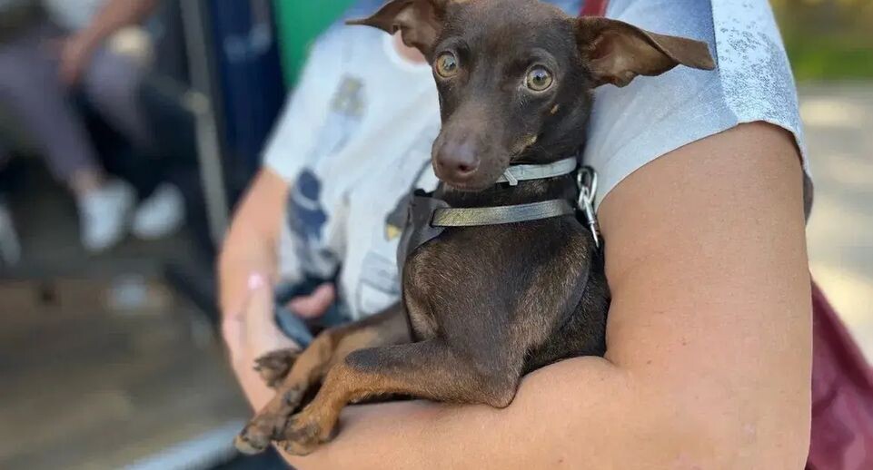    Минсельхоз МО