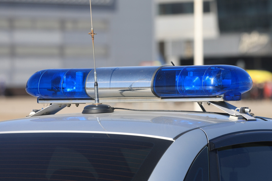    Наталья Шатохина/NEWS.ru