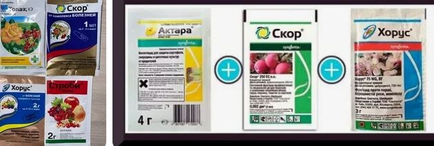 Препараты для обработки растений. Фото из открытых источников