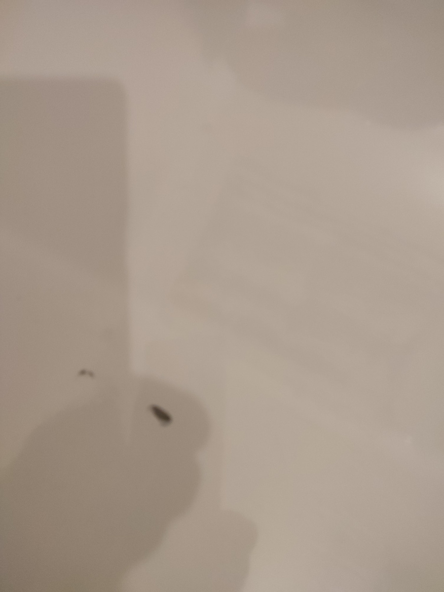 Образовалось таких два скола на дне ванной