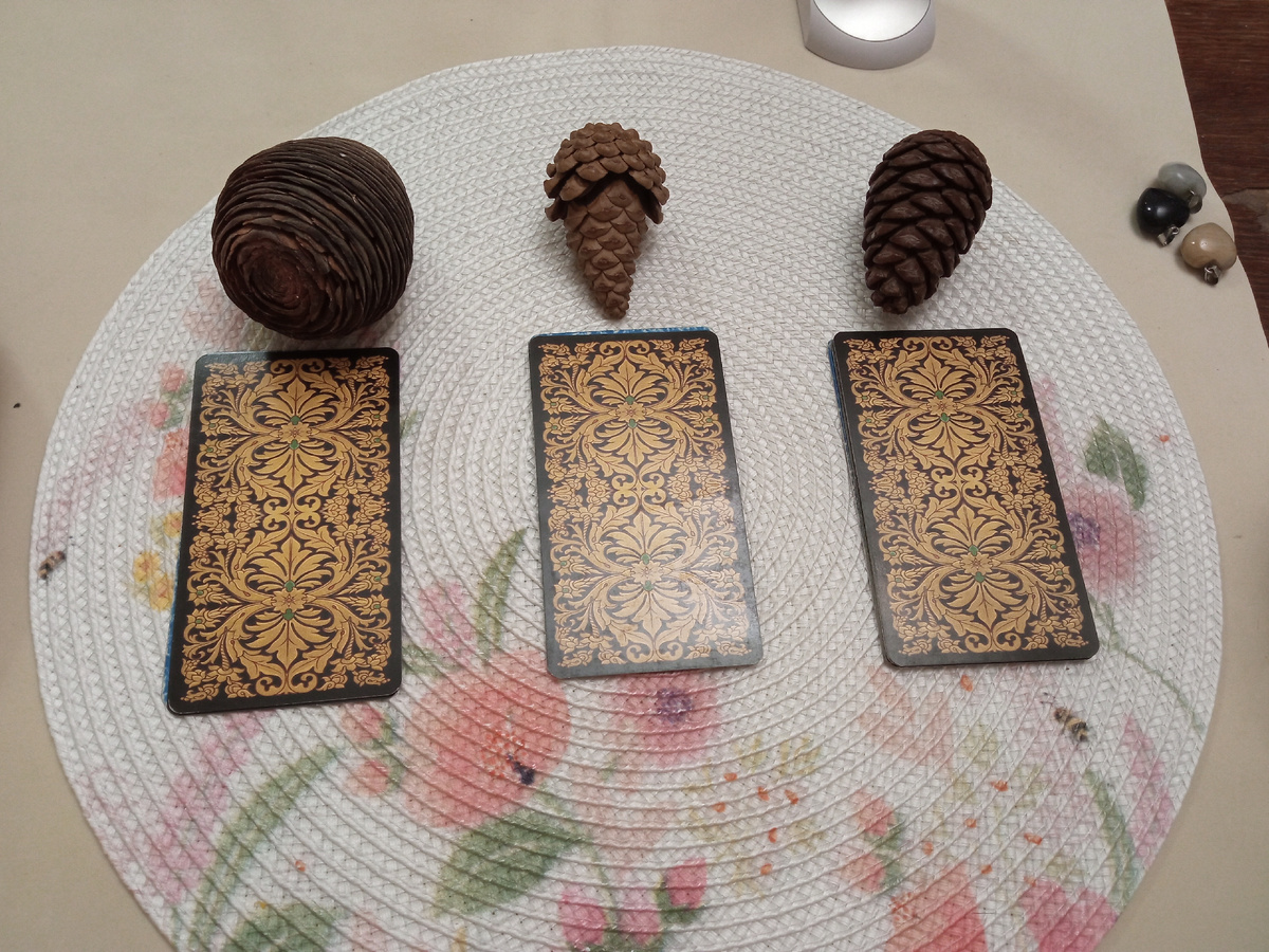 Выбор варианта