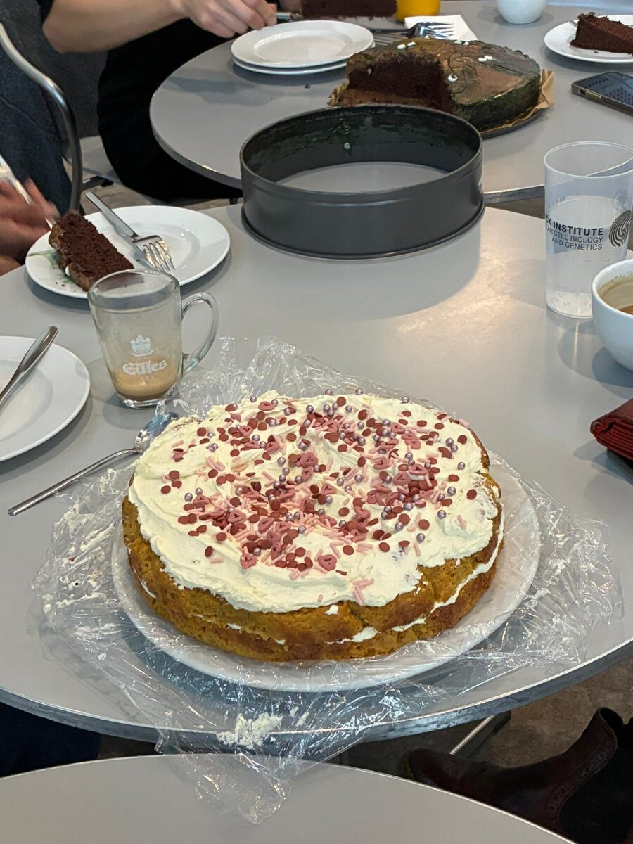 Тортик и фото в дочкином исполнении