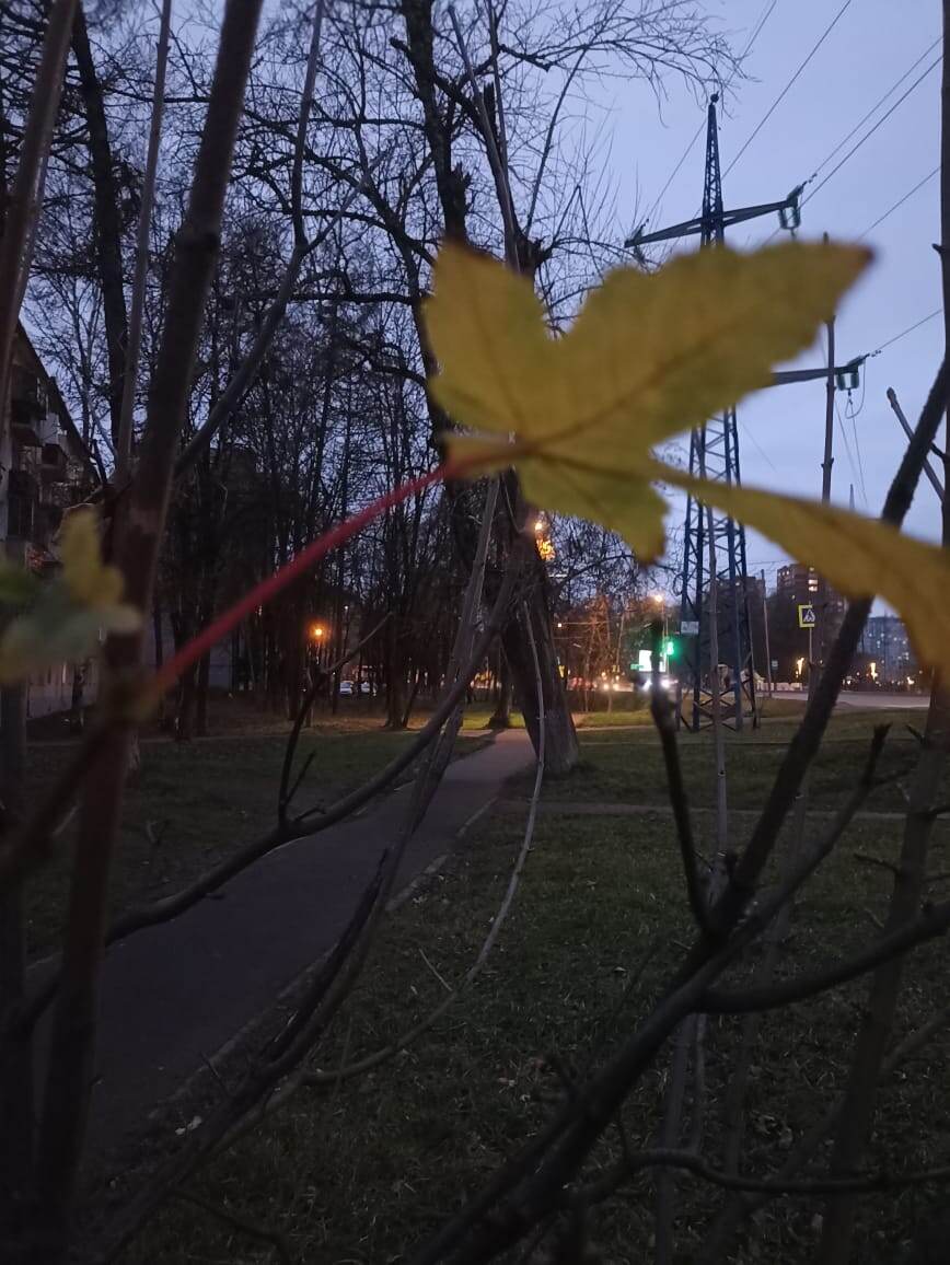 Вот он, герой, побудивший меня петь!)) 