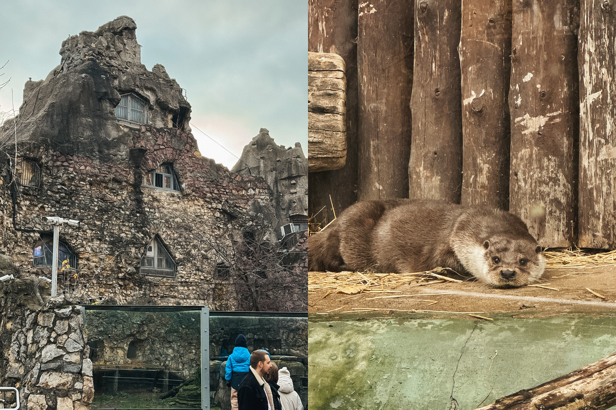 Московский зоопарк