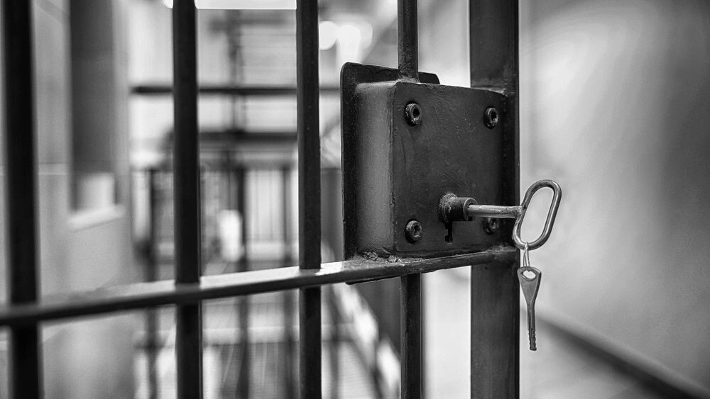    Фото: FotoDax/Shutterstock/Fotodom