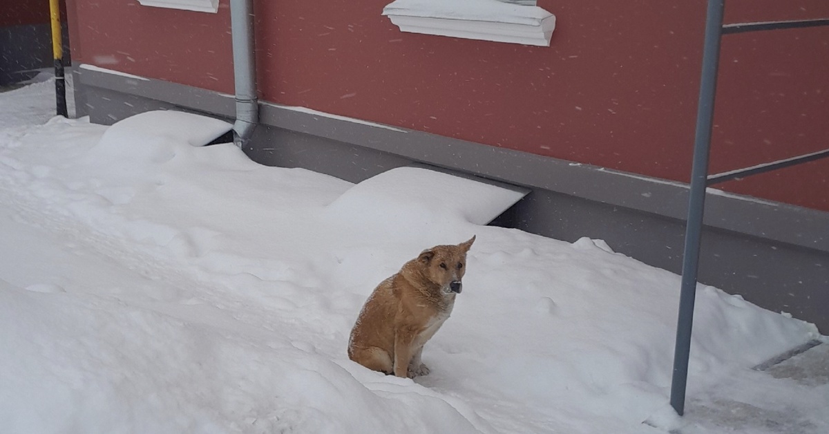 Зима 2024 года 