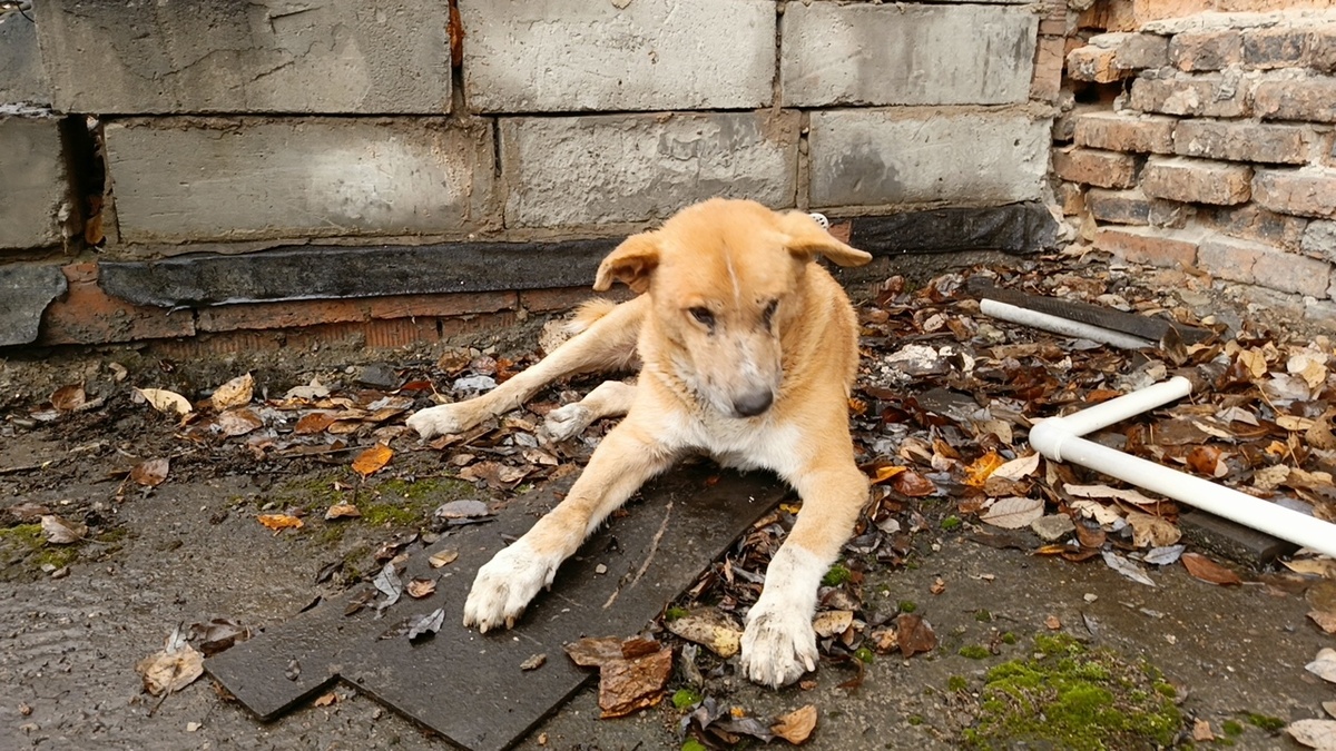 Жизнь пролетела как один день.