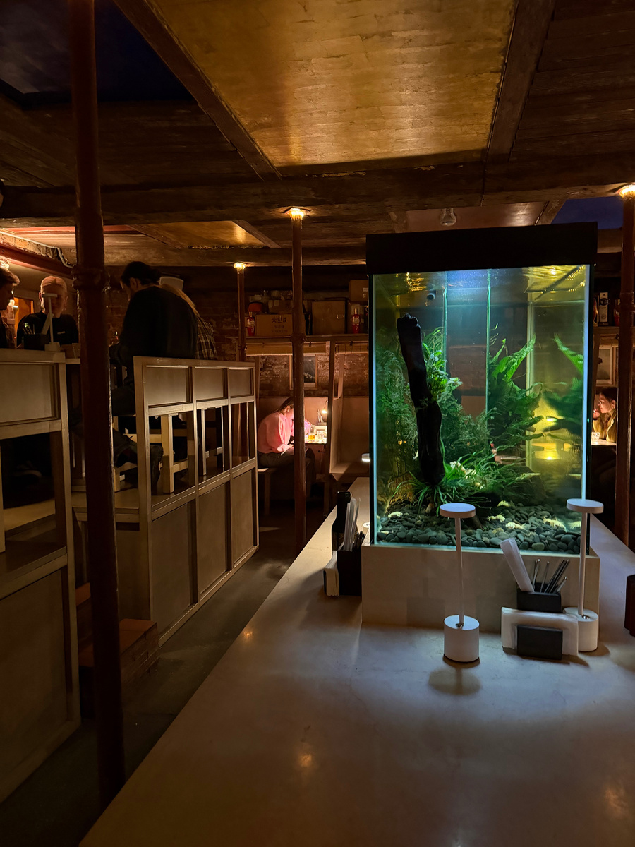 Аквариум с лягушками 