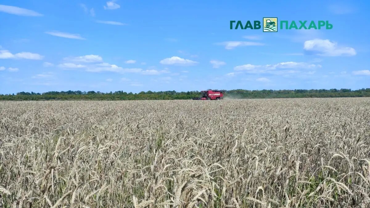 Фото: © Артем Борисов / Glavpahar.ru
Вячеслав Володин призвал обратить внимание на подорожание сельхозтехники в стране (фото иллюстративное)