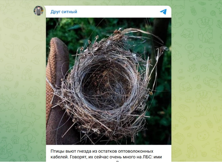 Гнездо из оптоволокна. Скриншот: ТГ-канал "Друг ситный"