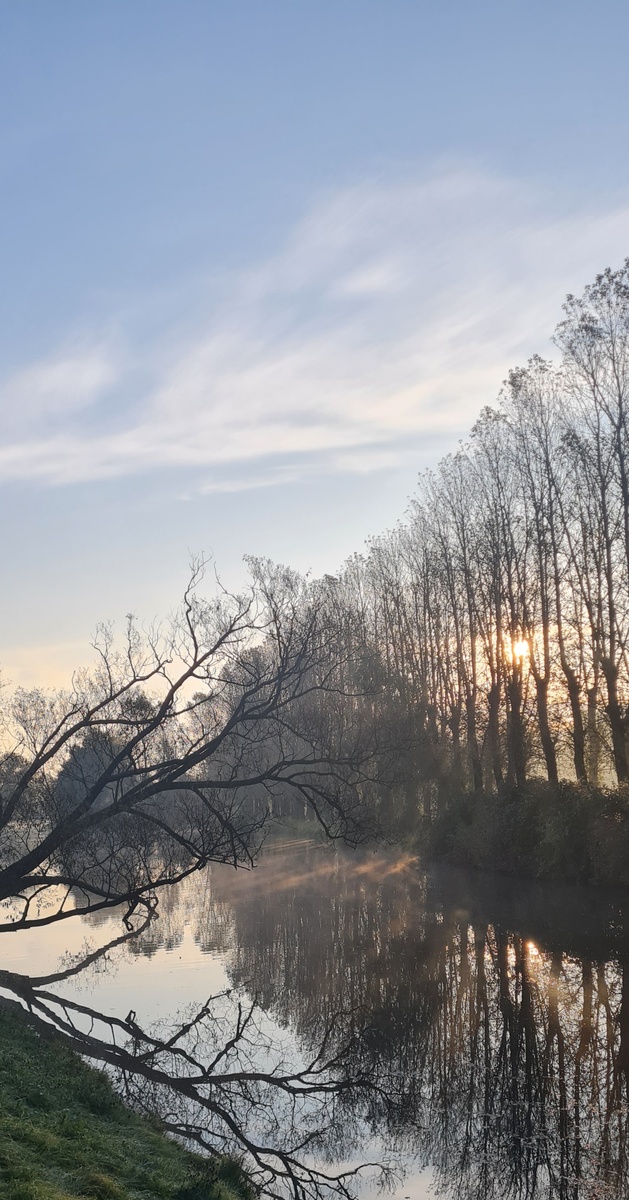 Фото моё (октябрь 2025г.)